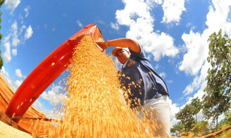 Produção de grãos pode chegar a 353,4 milhões de toneladas