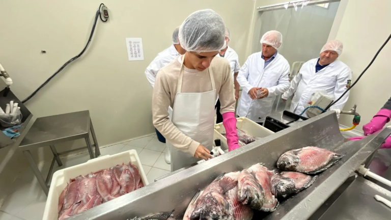 Quaresma aumenta procura por peixe e produção cresce em Jaraguá do Sul
