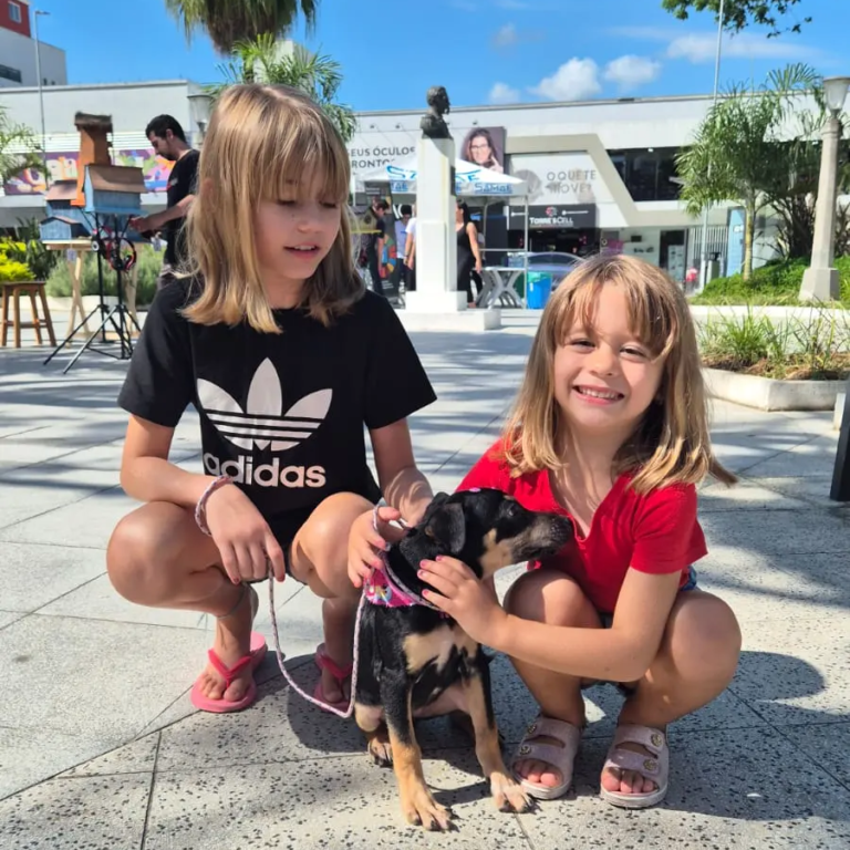 Feira de adoção garante novos lares para 14 animais em Jaraguá do Sul
