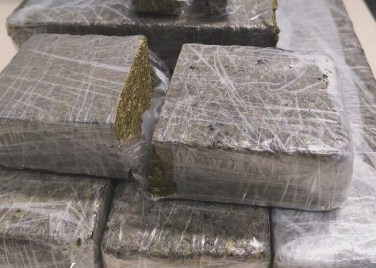 Homem é preso com cerca de quatro quilos de maconha em Jaraguá do Sul