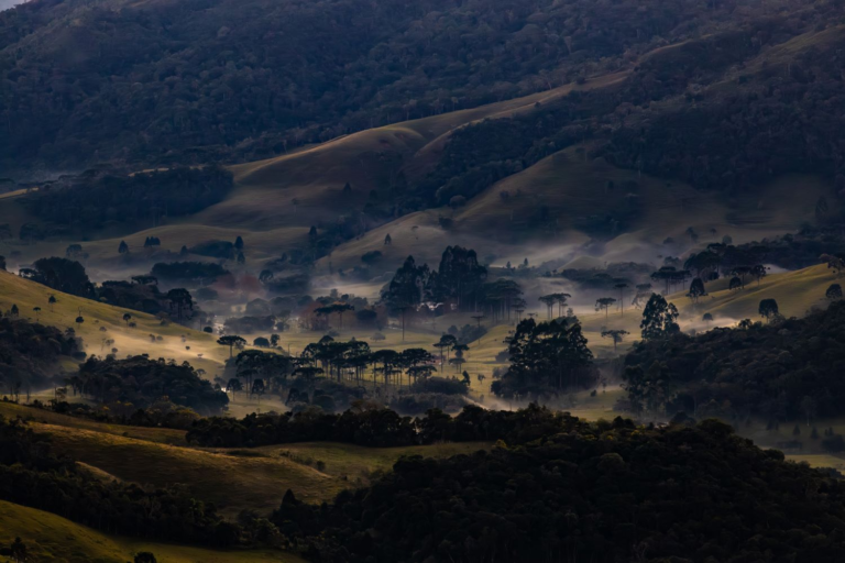 Defesa Civil de Santa Catarina emite aviso para onda de frio ao longo desta semana