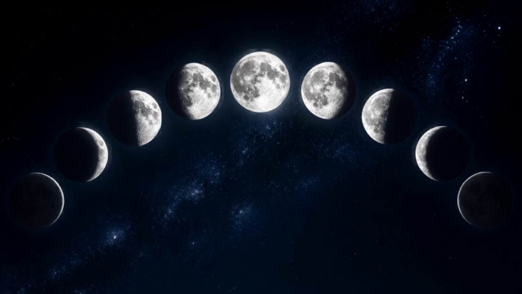 FASES DA LUA