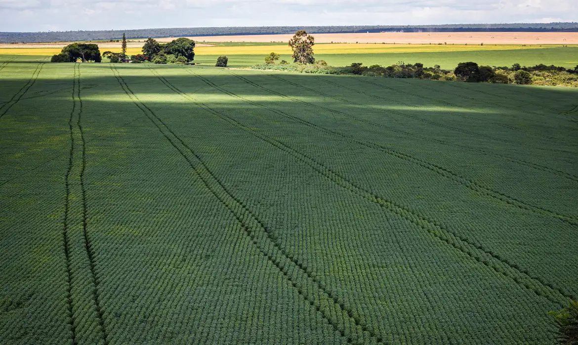 Senado aprova plano para reduzir importação de fertilizantes