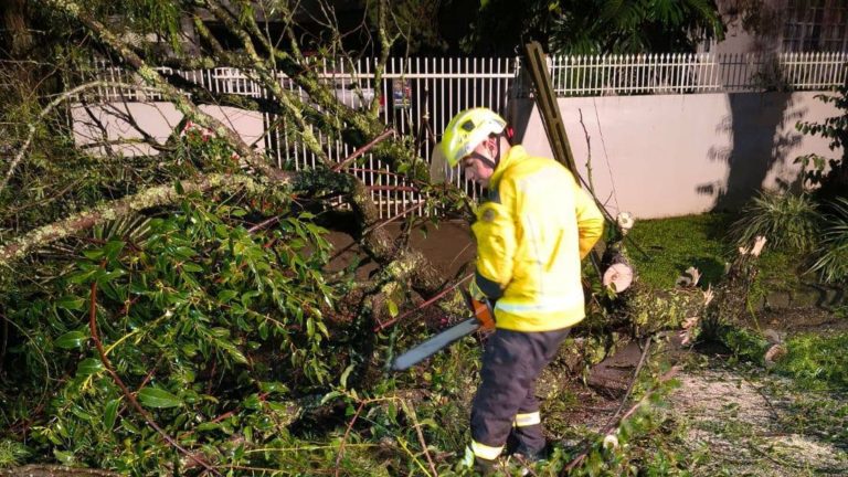 Papanduva e Bela Vista do Toldo entram em estado de emergência após noite de estragos