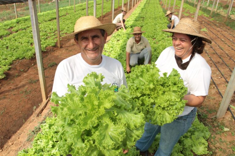 agro Wenderson Araújo/Trilux - Sistema CNA/Senar