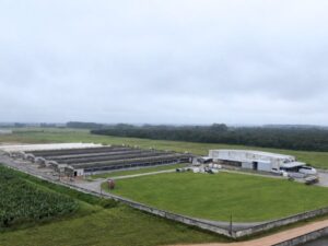 Mantiqueira, ligada à JBS, anuncia R$ 50 milhões para expandir fábrica em SC e aumentar quadro de funcionários em 30%